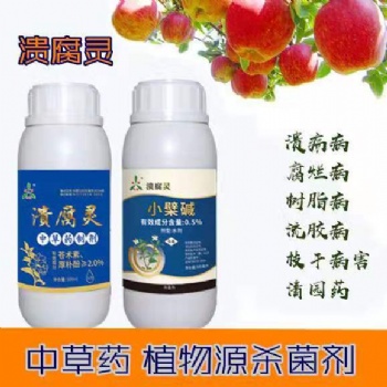 红心火龙果溃疡病腐烂病的治疗专治溃腐灵吡唑醚菌酯