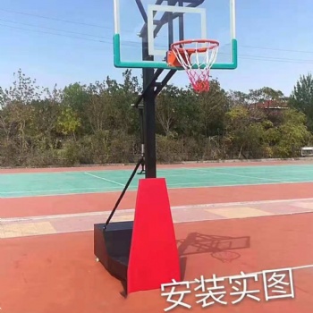 篮球架资讯 专业厂家品质**
