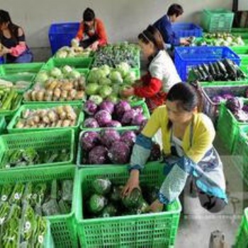 东莞清溪食堂承包、蔬菜配送公司