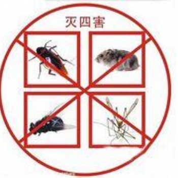 海南海口四害的防治及消杀
