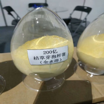 山东全水溶枯草芽孢杆菌 农业种植用全水溶枯草芽孢