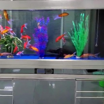 济南高新区丁豪广场鱼缸清洗