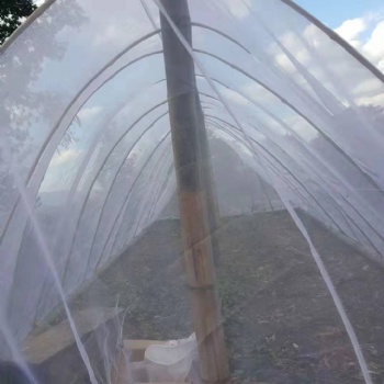 茂伦牌养殖胡峰使用的纱网耐氧化的纱网可以拼接