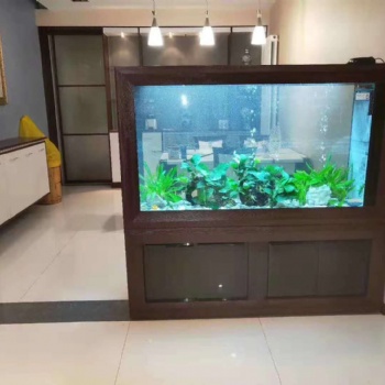 济南高新区奥体中心鱼缸造景
