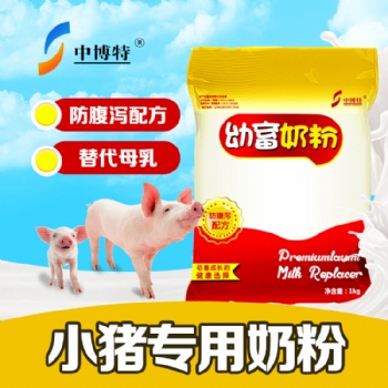 仔猪的养殖技术与仔猪奶粉的用量