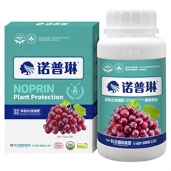 硕丰抗高温炭疽用葡萄叶面肥效果好的叶面肥