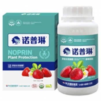 明晶草莓增甜又增产效果显著就用草莓冲施肥