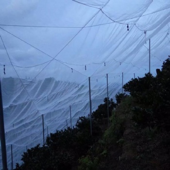 寻乌防虫纱网茂伦新料防虫网加宽幅好网耐日晒质量好