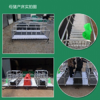母猪产床哪家性价比高母猪产床用途