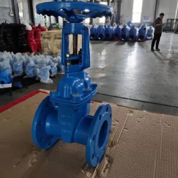 浙江?？馑筞41X明杆弹性座封闸阀