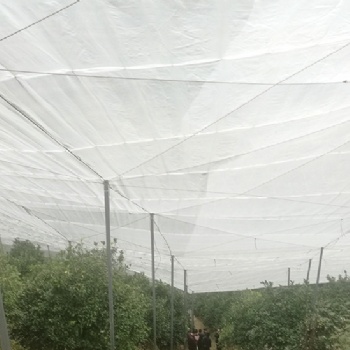 寻乌果树防虫网新料好网宽幅脐橙防虫网加厚质量好纱网