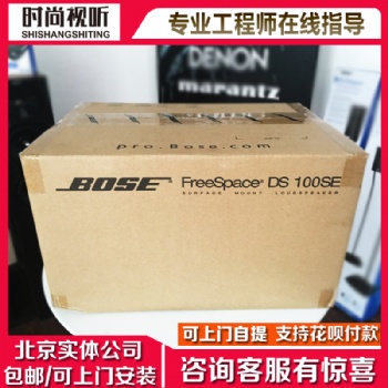 BOSE博士 DS100SE 壁挂音箱 专业音响 会议音箱 联保 实体店销售 可自提