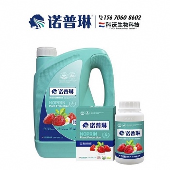 诺普琳草莓冲施肥促进根部发育 强壮植株