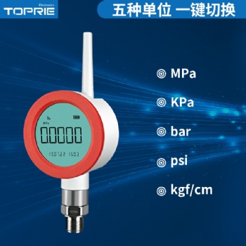 高精度NB-IOT压力表塑料壳压力表温度变送器低功耗工业级