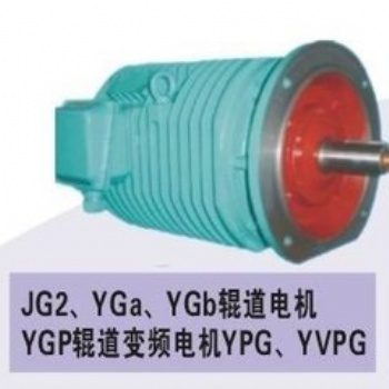 西安YG,YGa，YGb,YPG,YGP,YVPG变频调速辊道电机厂家