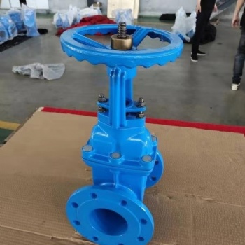上海?？馑筞41X明杆弹性座封闸阀