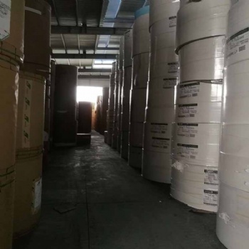 进口食品级白卡纸 单面淋膜白卡纸 口杯原纸