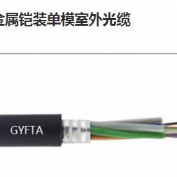 层绞式非金属铠装单模室外光缆