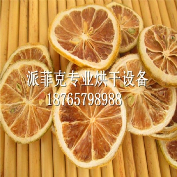 柠檬片热循环空气烘干机