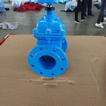 大理埃库斯暗杆软密封闸阀