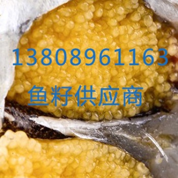 多春鱼籽的规格和价格