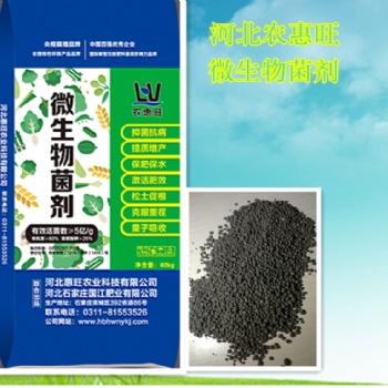 生物肥料的作用 惠旺微生物菌剂底肥专家 生物有机肥河北厂商