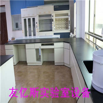 实验室PP实验台.实验桌.边柜.吊柜