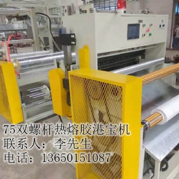 港宝设备，港宝胶片机，鞋材港宝机，双螺杆港宝机