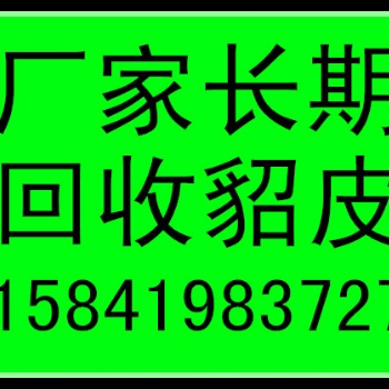 济南收貂皮的济南收皮草的济南回收貂皮的