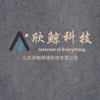 山东欣鲸网络科技软件开发