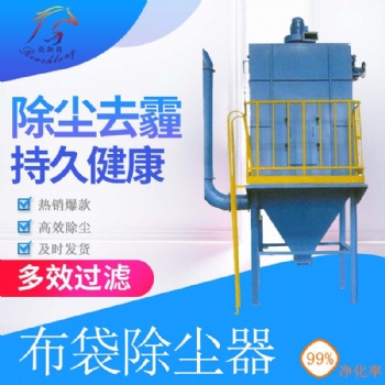 厂家定制 焦化厂布袋除尘器 36袋-360袋布袋除尘器 河北锐驰朗
