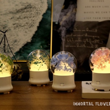 永生花香薰机凋谢唯美绣球花