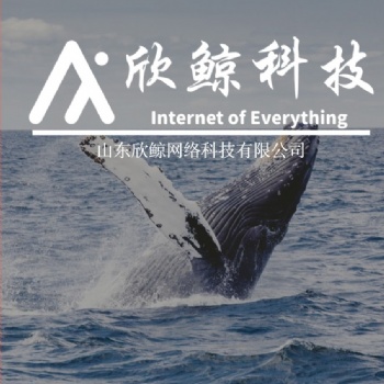 山东欣鲸网络科技定制软件