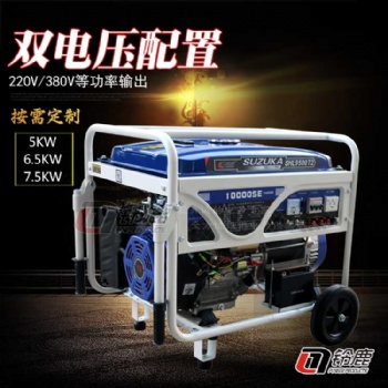 便携式8KW单三相双电压一体机
