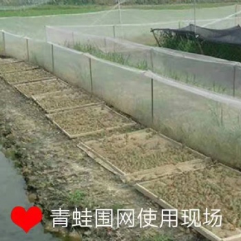 青蛙养殖三要素:防逃网、食台网、天网