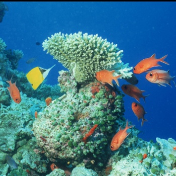 广东第三方海洋检测海洋水文观测海洋生态监测机构-深圳中检联检测有新公司
