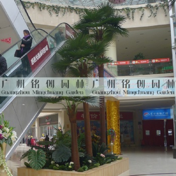 仿真棕榈树_仿真扇葵树_仿真老人葵_仿真华盛顿棕榈