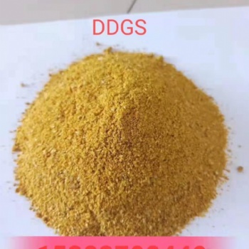 石家庄厂家供应玉米酒精糟DDGS