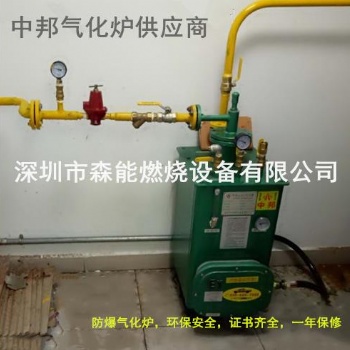 供应气化炉 50kg壁挂式节能电热气化炉