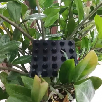 供应湖南车库蓄排水板价格