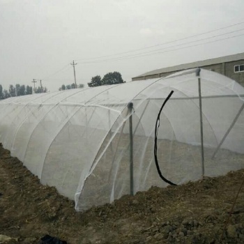 志广丝网特卖马蜂蝗虫养殖网罩新料加厚抗拉抗晒耐用