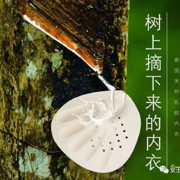尖瘦饼干全国招合作伙伴