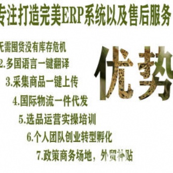 乐境通无货源红利项目带你月入2万，OEM贴牌独立部署