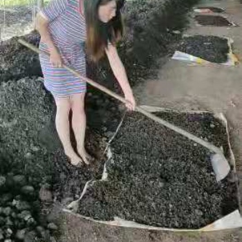 蚯蚓养殖技术，免费教学