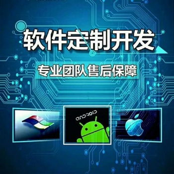 金融平台搭建,金融系统,应用软件开发
