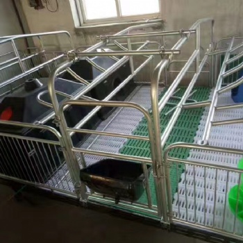 养猪设备热卖母猪产床保育床限位栏