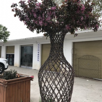 紫薇花瓶骨架 造型编织模具 树艺编织视频详解