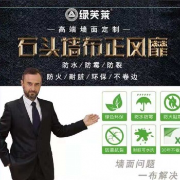 新型墙面环保生态墙材-绿芙莱墙基布 海吉布 海基布