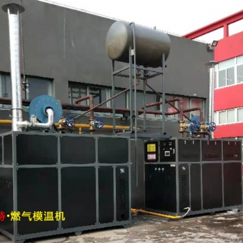 湖州低氮双盘管燃气模温机温差小排放低