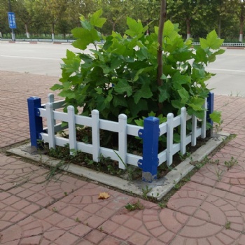 山东PVC草坪护栏 花园迷你小围栏 匠之心厂家